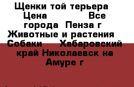 Щенки той терьера › Цена ­ 10 000 - Все города, Пенза г. Животные и растения » Собаки   . Хабаровский край,Николаевск-на-Амуре г.